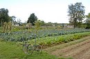 2004_09_15_0040_APassard.JPG