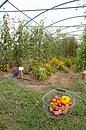 2004_09_15_0046_APassard.JPG