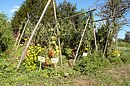 2004_09_15_0067_APassard.JPG